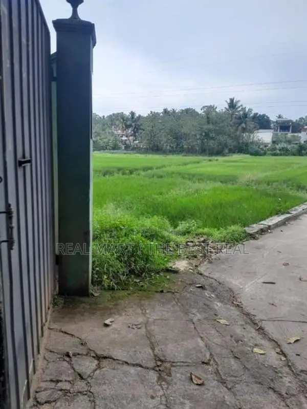 Pannipitiya: 35.5 Perches Residential Land for Sale facing Paddy Field