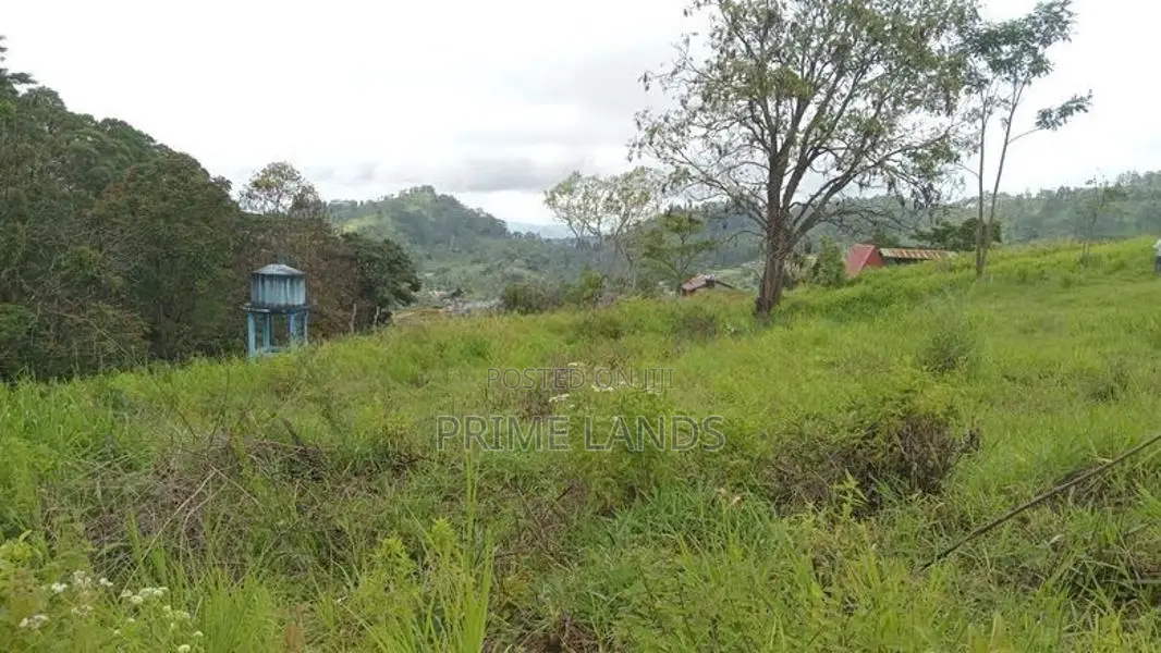 Land for Sale Nuwara Eliya Pussellawa