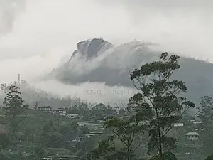 Land for Sale Nuwara Eliya Pussellawa