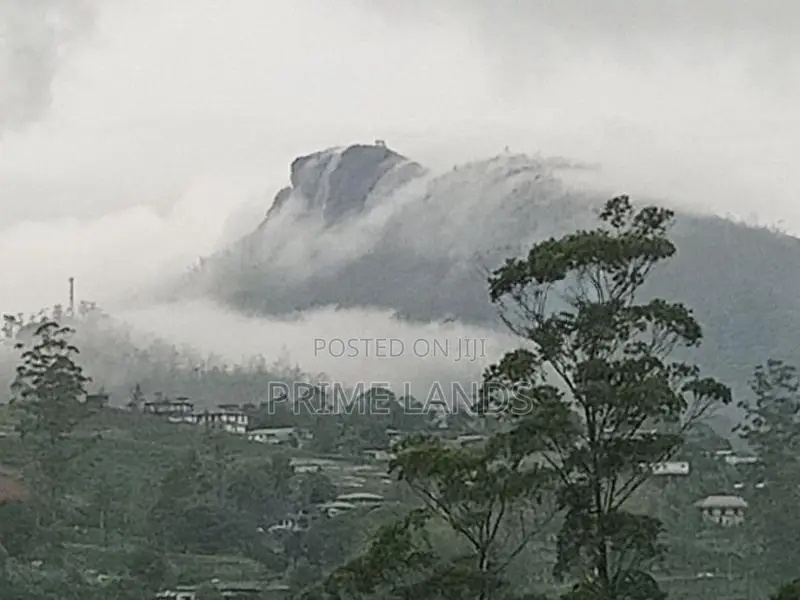Land for Sale Nuwara Eliya Pussellawa