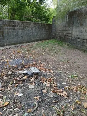 Bare Land Boralesgamuwa