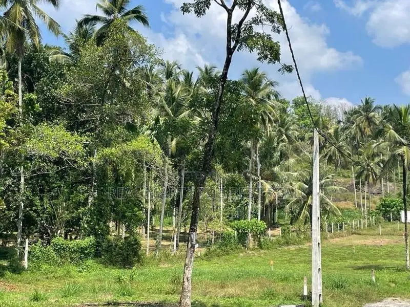 Godagama : 4 acres Coconut Land for Sale at Watareka