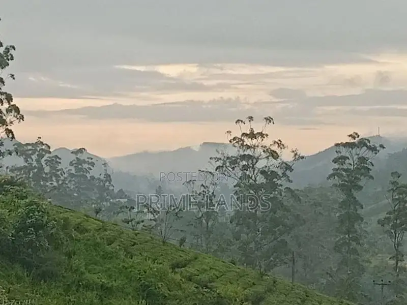 Land for Sale Nuwara Eliya Pussellawa