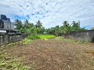 21P Bare Land For Sale In Nawala