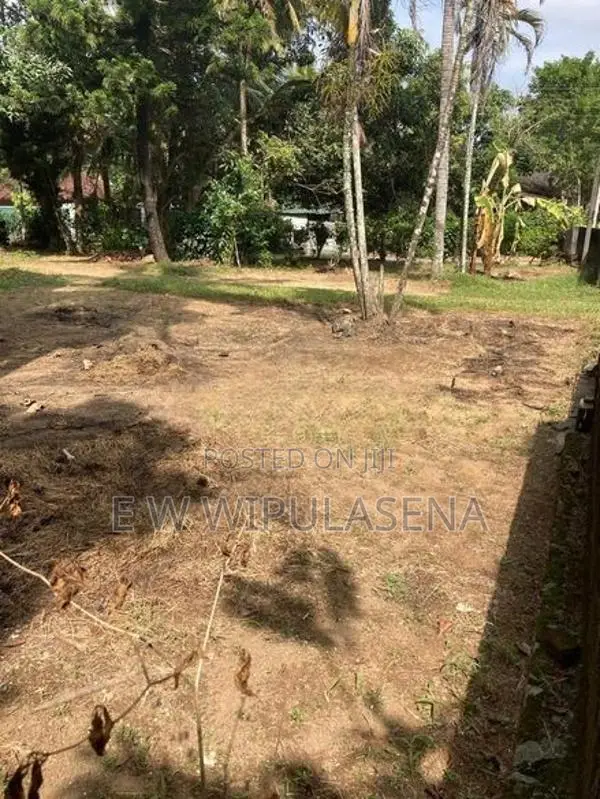 26 PERCH LAND for SALE in HOMAGAMA