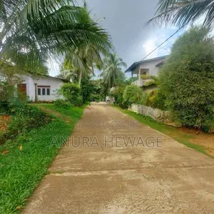 Land For Sale Dodangoda, suitable cultivation. (ID: WA45)