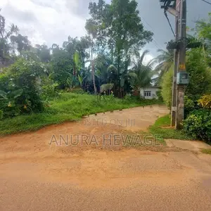 Land For Sale Dodangoda, suitable cultivation. (ID: WA45)