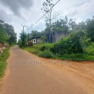 දොඩංගොඩ අධිවේගය අසල, වගා කිරීමට සුදුසු ඉඩමක් විකිණීමට ඇත. (ID: WA45S)