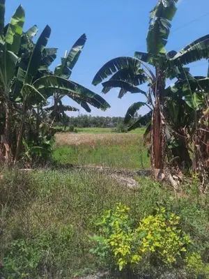 Land For Sale In Kottawa
