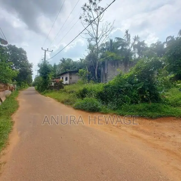 Land For Sale Dodangoda, suitable cultivation. (ID: WA45)