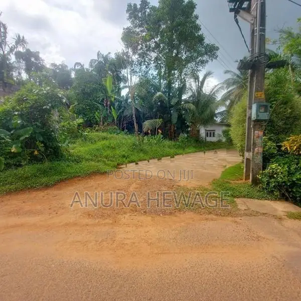 දොඩංගොඩ අධිවේගය අසල, වගා කිරීමට සුදුසු ඉඩමක් විකිණීමට ඇත. (ID: WA45S)