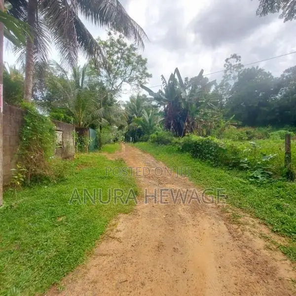 දොඩංගොඩ අධිවේගය අසල, වගා කිරීමට සුදුසු ඉඩමක් විකිණීමට ඇත. (ID: WA45S)