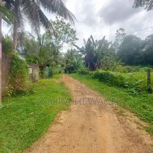 Land For Sale Dodangoda, suitable cultivation. (ID: WA45)