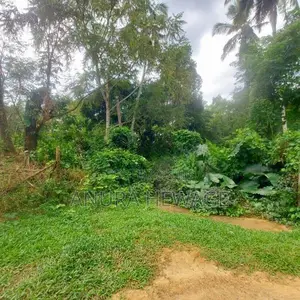 දොඩංගොඩ අධිවේගය අසල, වගා කිරීමට සුදුසු ඉඩමක් විකිණීමට ඇත. (ID: WA45S)