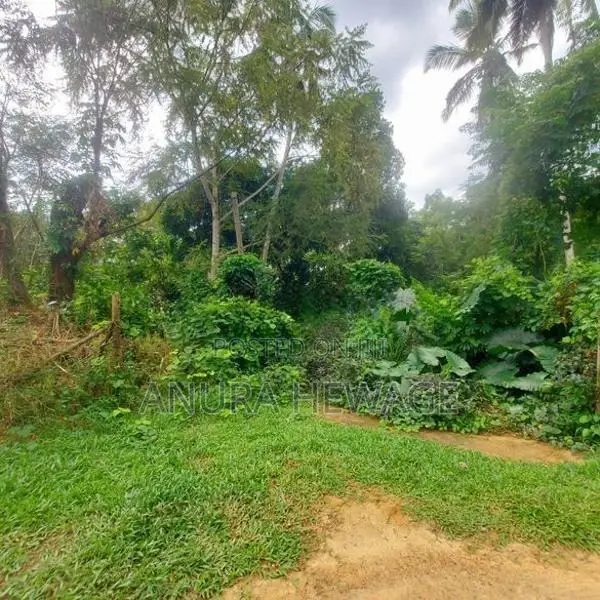 දොඩංගොඩ අධිවේගය අසල, වගා කිරීමට සුදුසු ඉඩමක් විකිණීමට ඇත. (ID: WA45S)