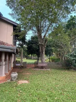 Villa for Rent in Pannipitiya ( Arawwala )