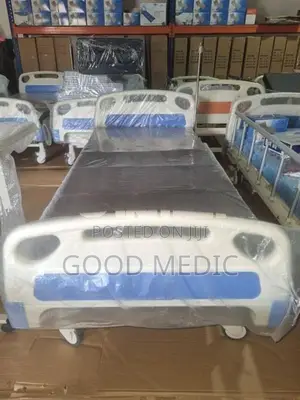 Patient Four Function Electric Hospital Bed