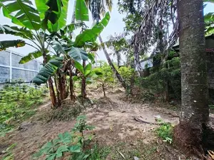 මාලබේ නගරයට ආසන්නව පිහිටි වටිනා ඉඩමක් විකිණීමට ඇත. (ID:MALB007S)