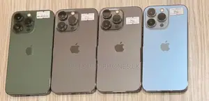 Apple iPhone 13 Pro 256GB (Used)