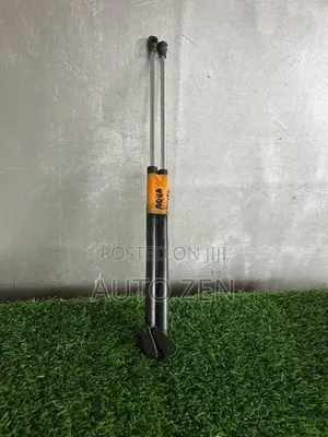 Aqua dickey shocks