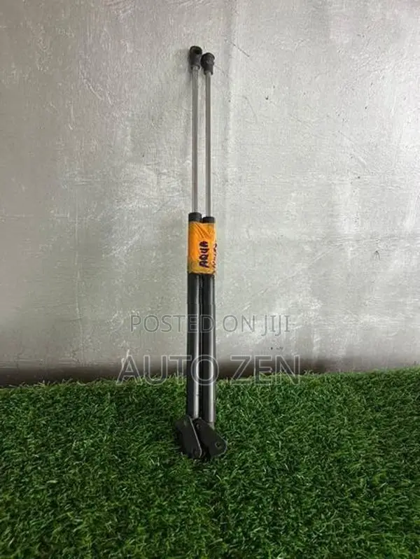 Aqua dickey shocks