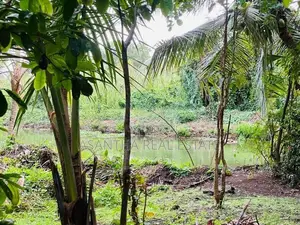 (AF279) Water Front Facing 15P Land Sale 9th Lane Ethul Kotte