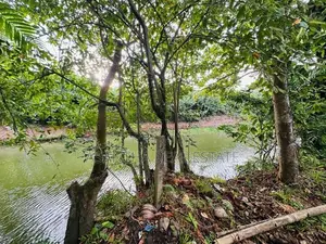 (AF279) Water Front Facing 15P Land Sale 9th Lane Ethul Kotte