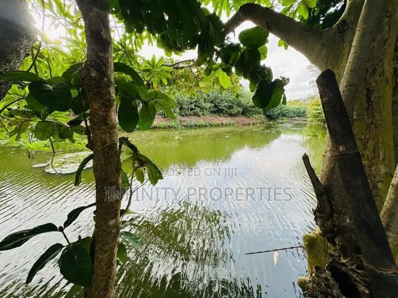 (AFA539) Water Front Facing 15 P Property SALE AT 9th lane ETHULKOTTE