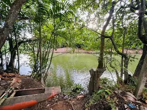 (AFA539) Water Front Facing 15 P Property SALE AT 9th lane ETHULKOTTE