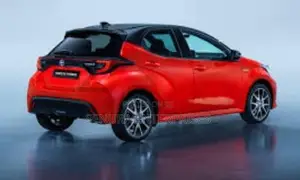 Toyota Yaris Rear Door Panel Rh