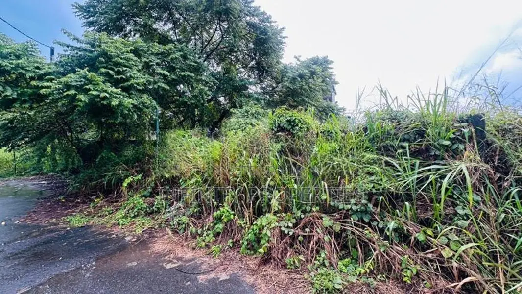 8.45 P Bare Land Sale At Anderson Road DEHIWALA