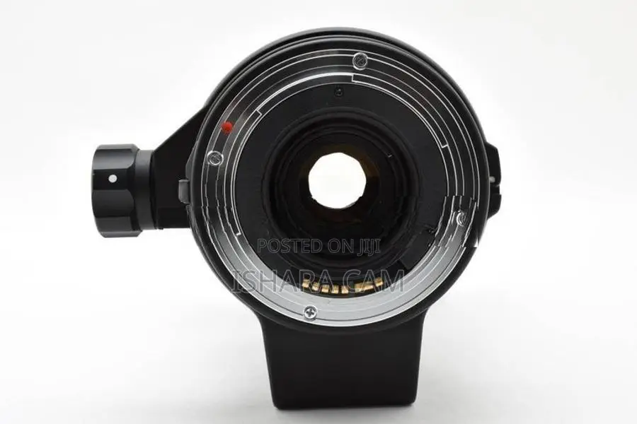 Canon 170-500 AF DSLR Wildlife Lens