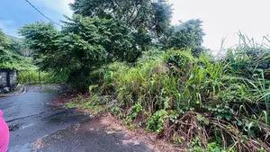 8.45 P Bare Land Sale At Anderson Road DEHIWALA