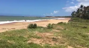 (AFA555) 200 P Beach Facing Land Sale At Usangoda Nonagama