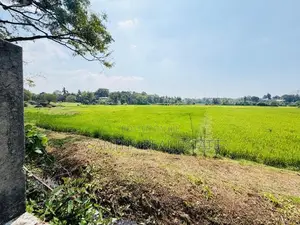 Facing Paddy filed 265 P Land Sale at Battaramulla