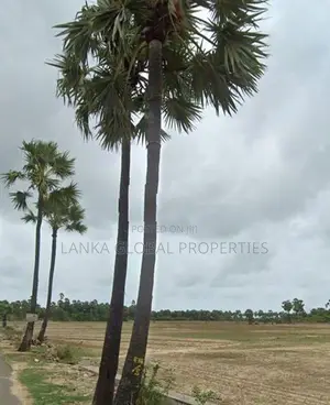 Land for Sale in Vallichanthai