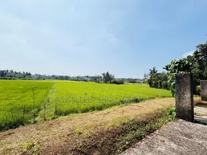 Facing Paddy filed 265 P Land Sale at Battaramulla