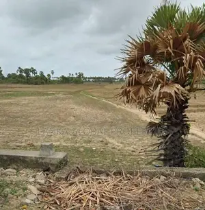 Land for Sale in Vallichanthai