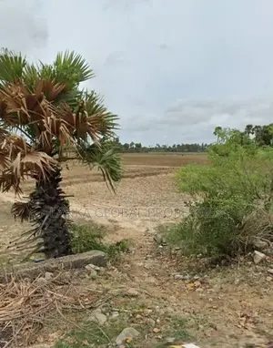 Land for Sale in Vallichanthai