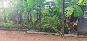 29.5P – Semi-Commercial Land for Sale in Maharagama | SL14691