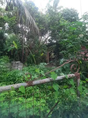 Land For Sale In Boralesgamuwa Lake Road
