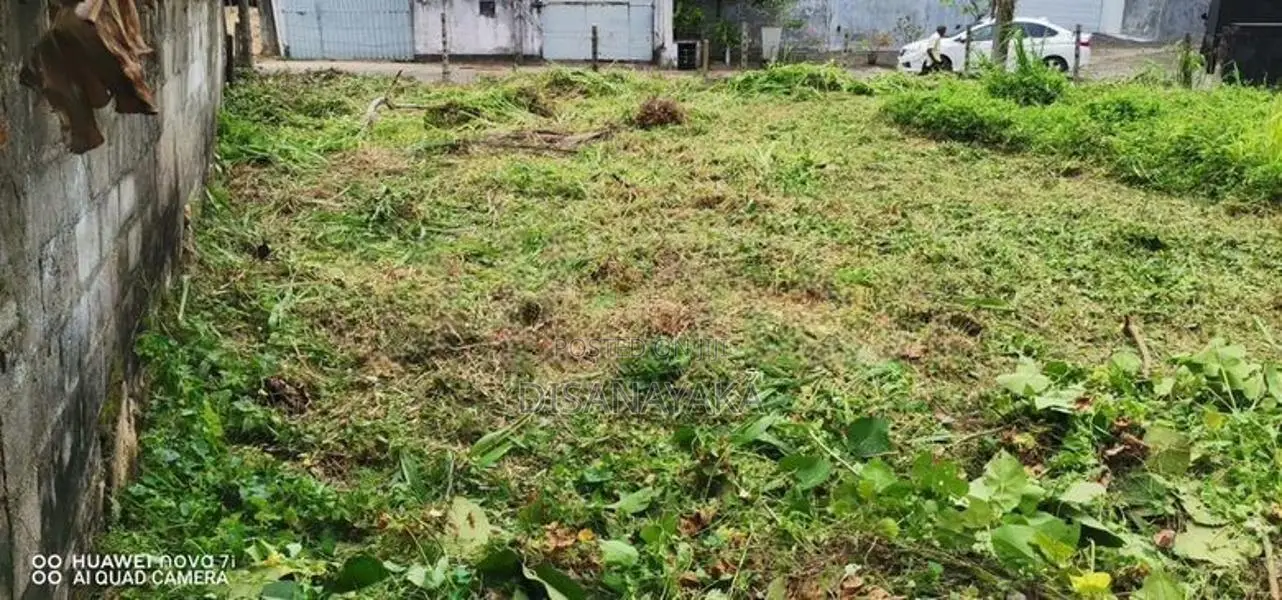 Super Land for Sale in Udumulla