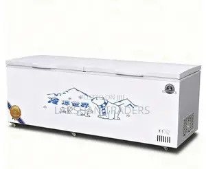 Havells 1350L Chest Freezer Double Door Lock