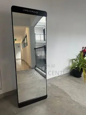 Heavy Wall Hanging Stand Mirror 171x50cm