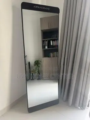 Heavy Wall Hanging Stand Mirror 171x50cm