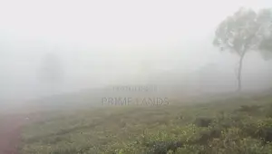 Land for Sale Nuwara Eliya