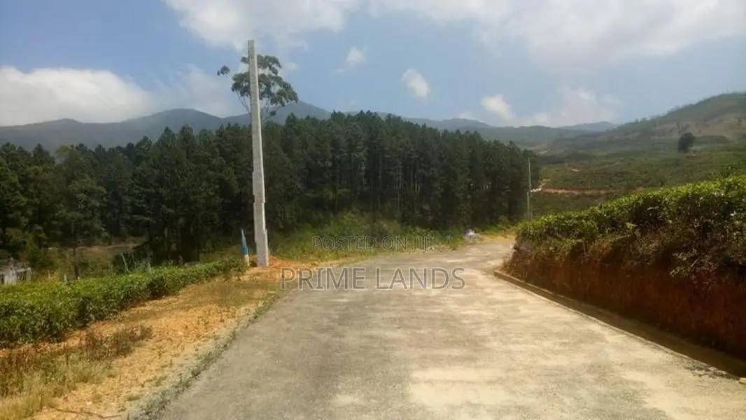 Holiday view point land for sale Nuwara Eliya Road