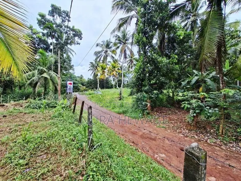 Land for Sale Mirigama. (ID:MRGM001)