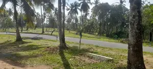 Land for Sale in Welihida