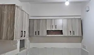 Modern American White 5 Ft Pantry Cupboards